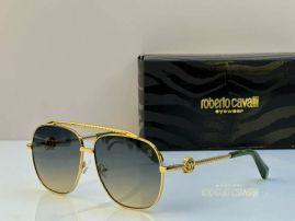 Picture of Roberto Cavalli Sunglasses _SKUfw55482480fw